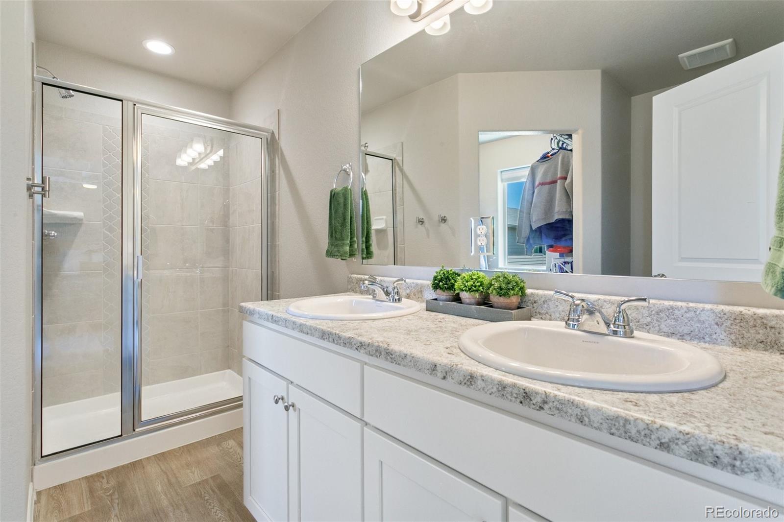 7407 Rufous Fronted View