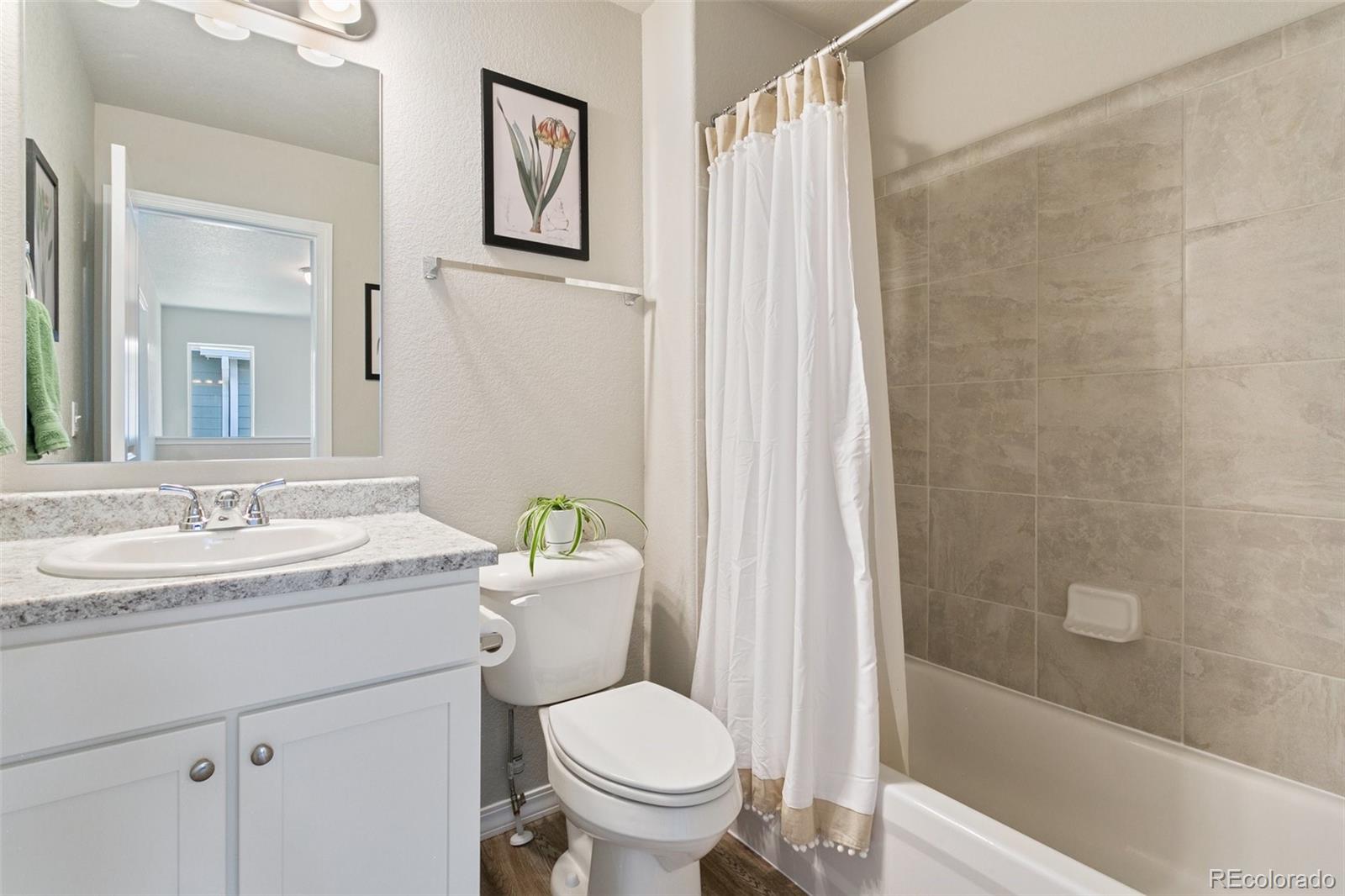 7407 Rufous Fronted View