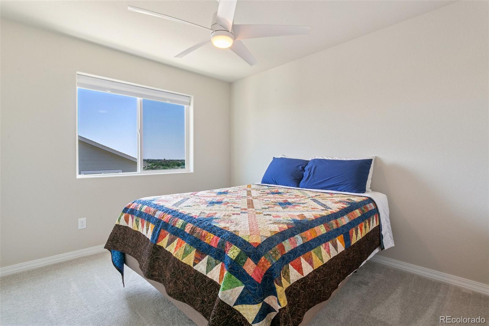 7407 Rufous Fronted View