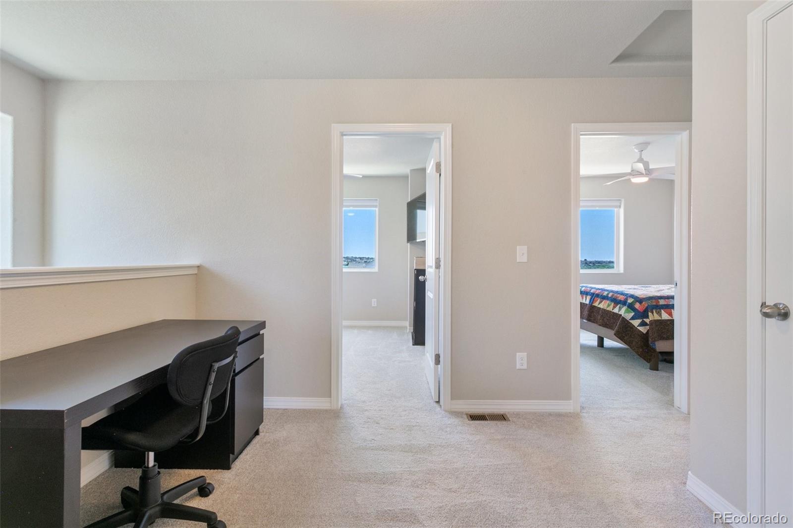 7407 Rufous Fronted View