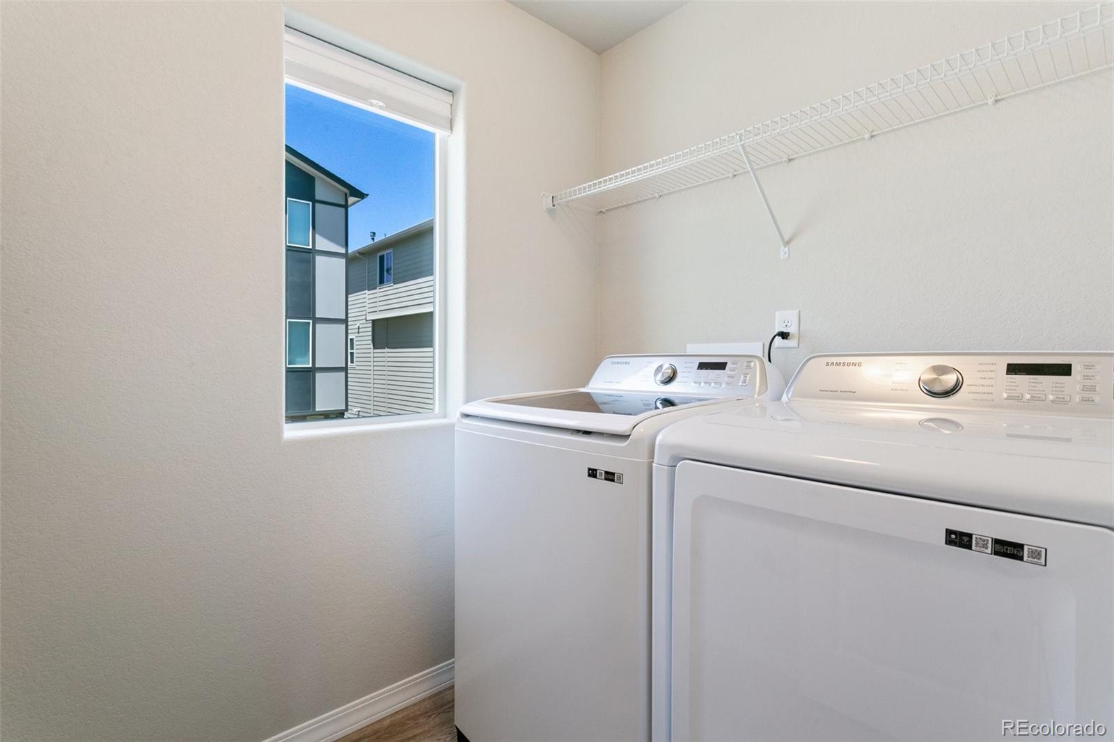 7407 Rufous Fronted View