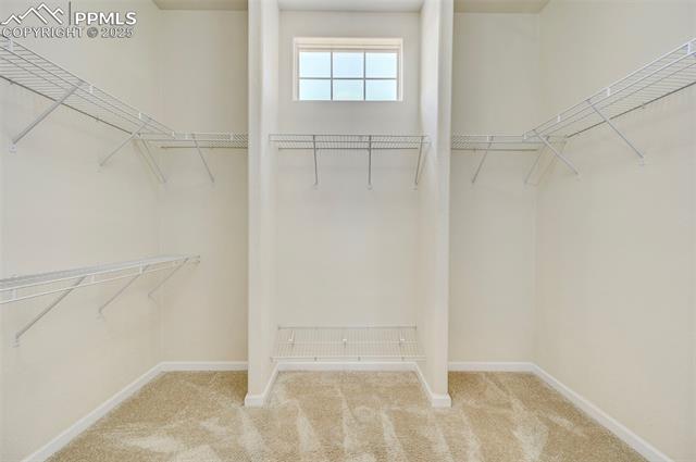 2061 Cheyenne Summer View