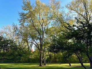 120 Lakeview Drive Unit: 109