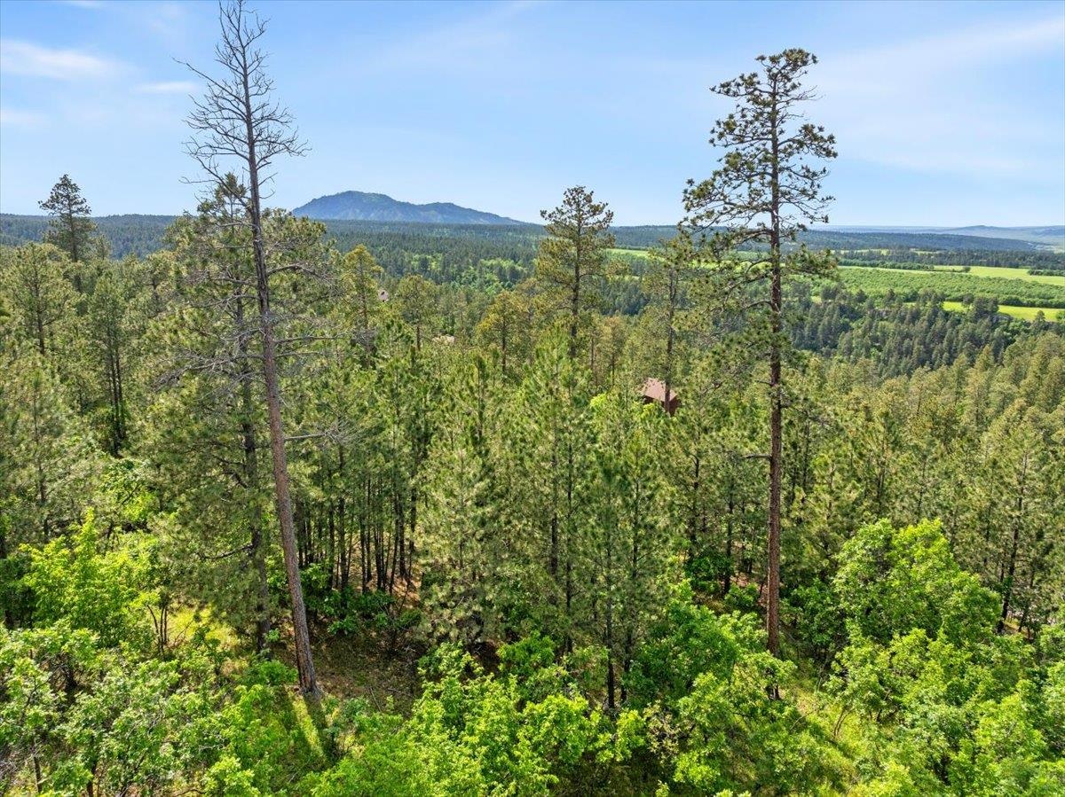 496 Fish Hatchery Loop