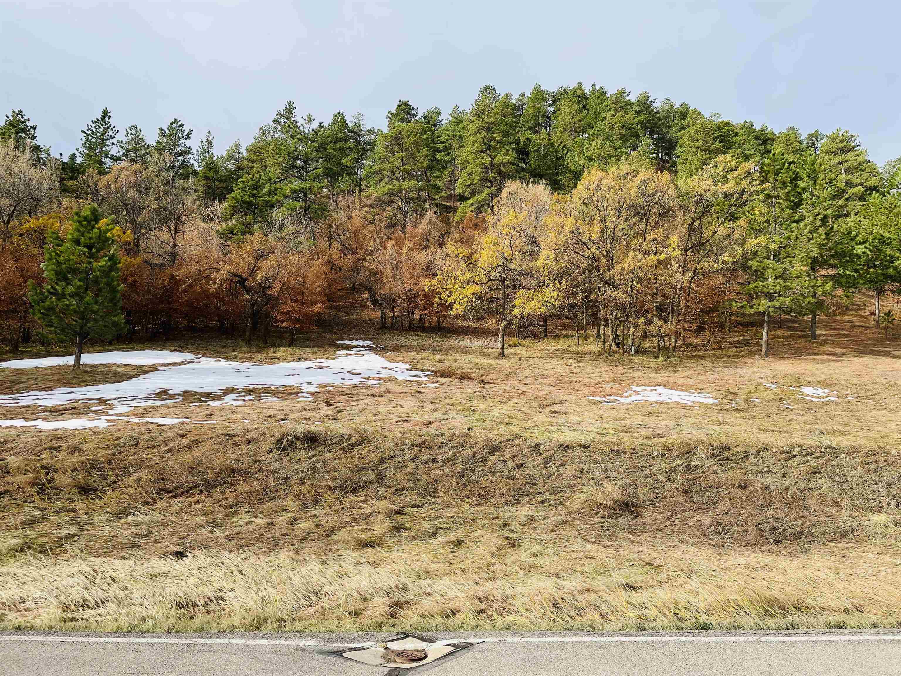 1135 Woodland Drive