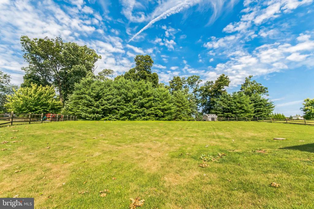 420 Buttonwood Ln