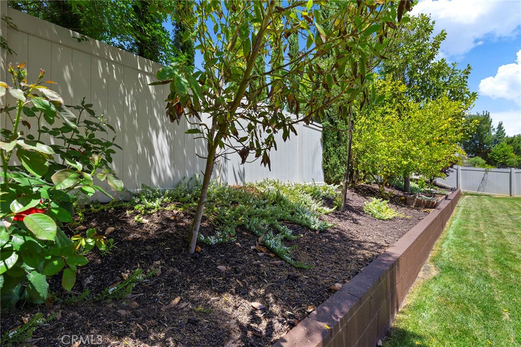 30852 Olympia Rose Drive