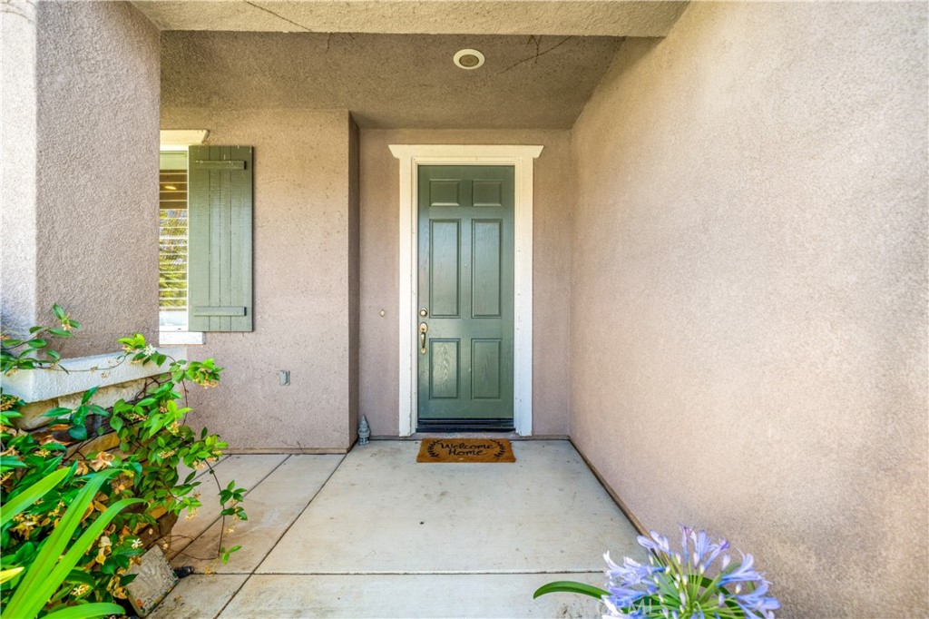 35646 Summerholly Lane