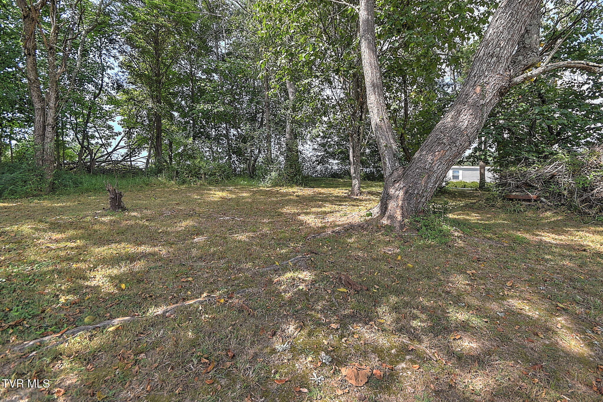 2004 Sweetbriar Road