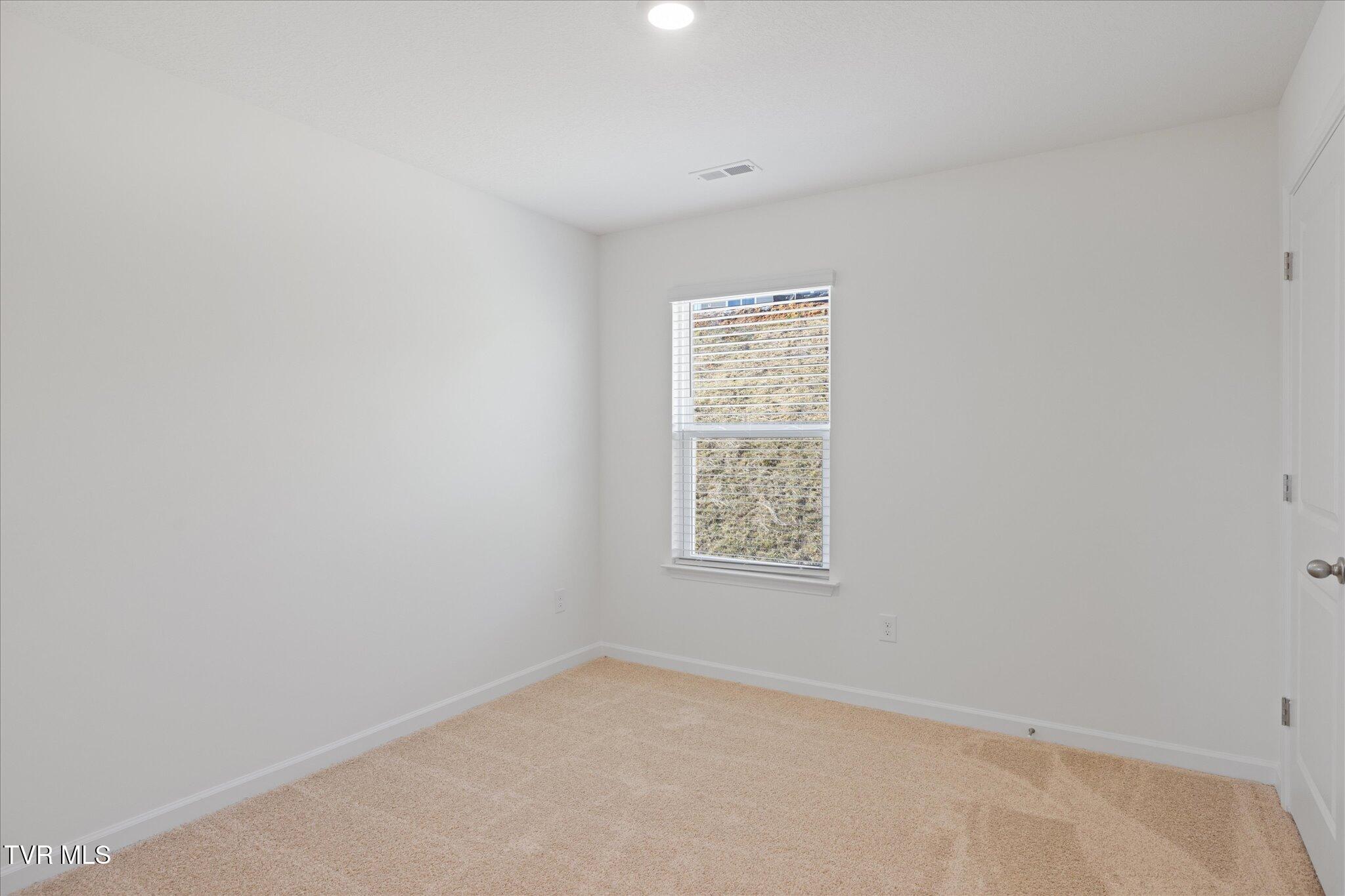 1231 Downing Place