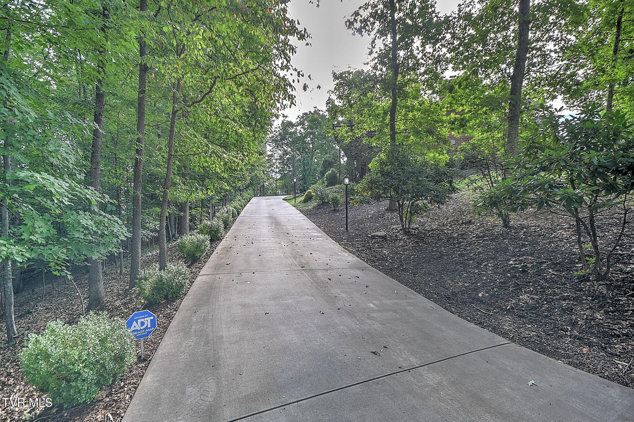 117 Skyline Drive
