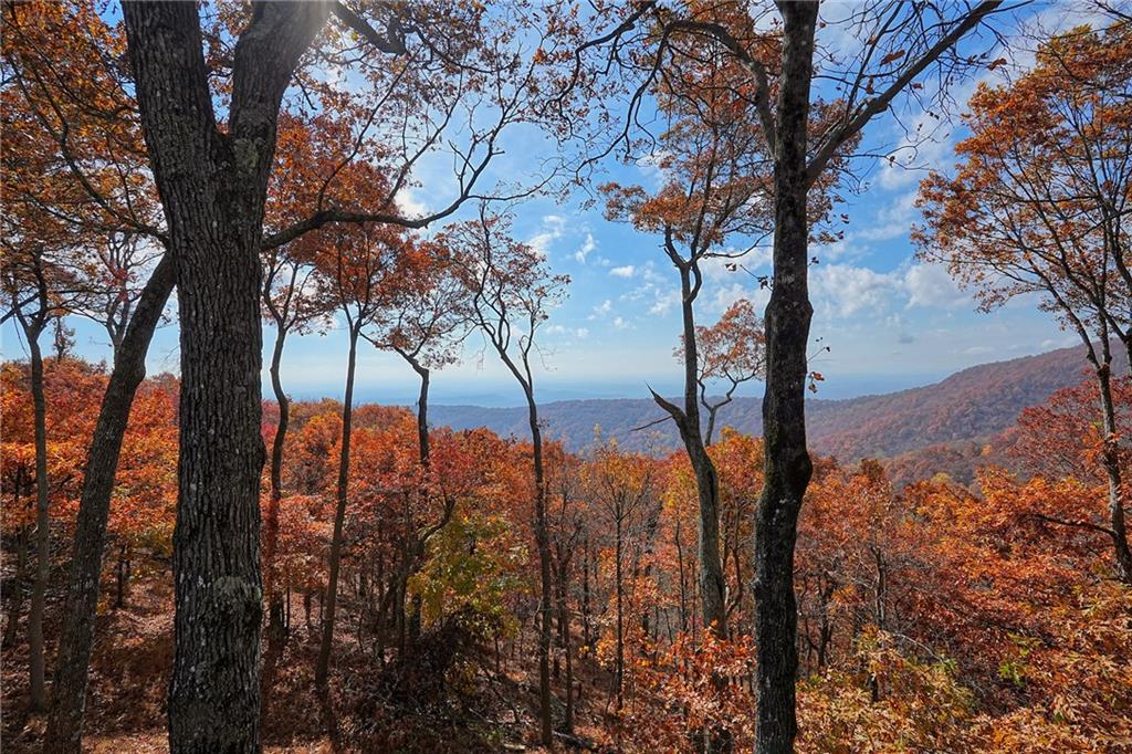 132 Sanderlin Mountain Drive S