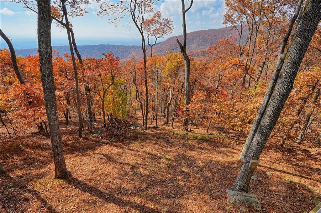 132 Sanderlin Mountain Drive S