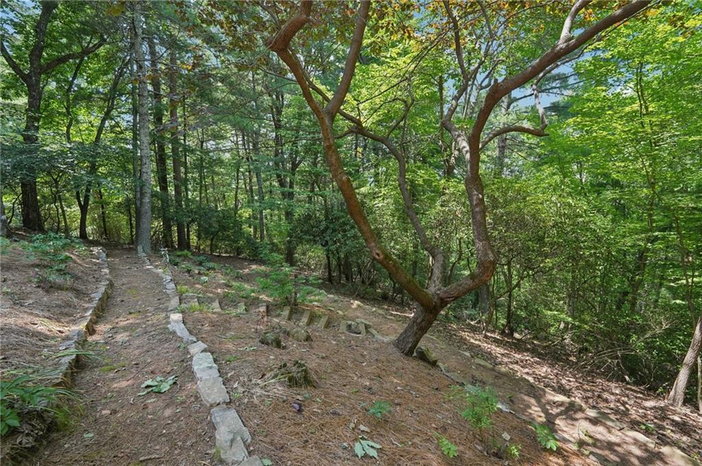44 Sassafras Ridge