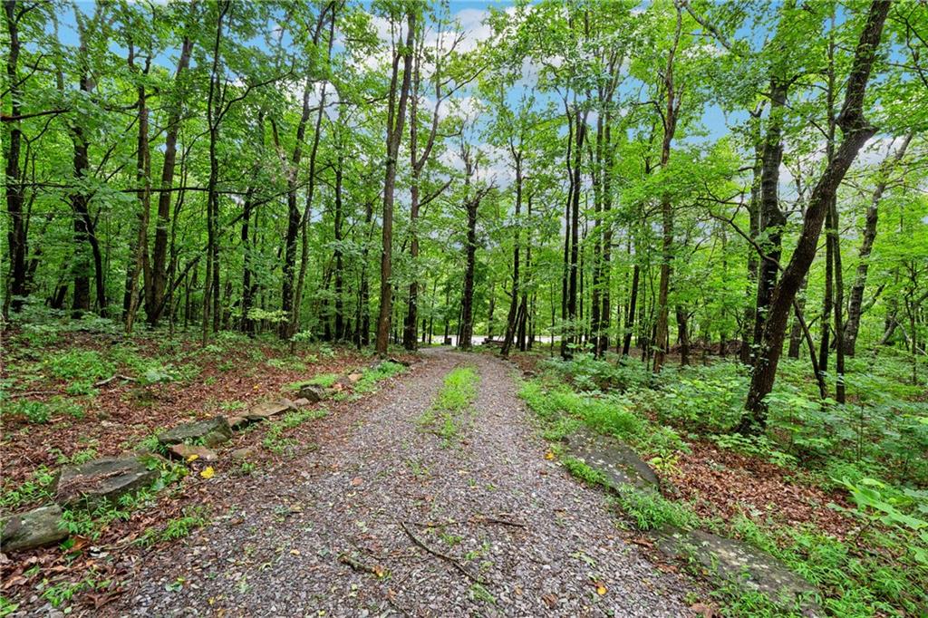 631 Sunset Cliff Drive