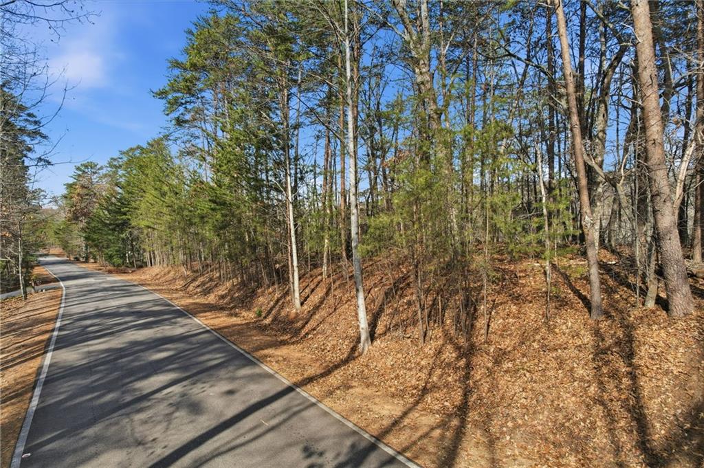 3268 Red Trillium Ridge