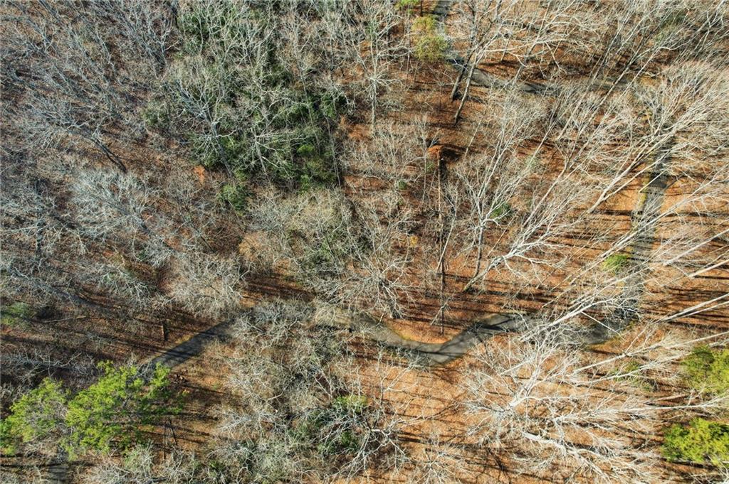 3268 Red Trillium Ridge