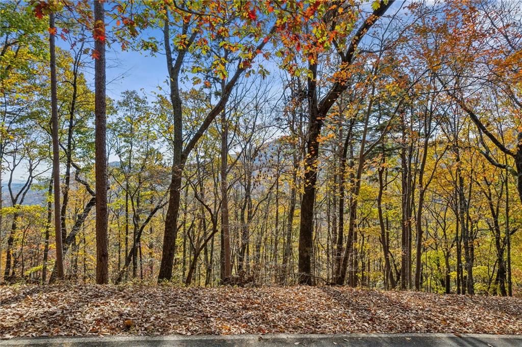 6057 Crested Iris Circle