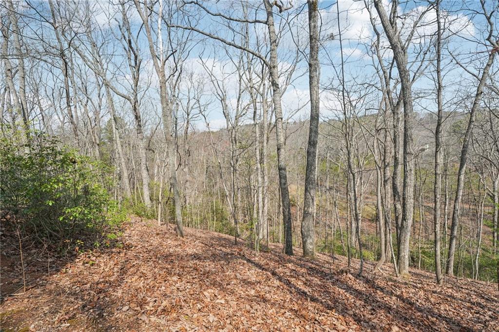 29 Red Trillium Ridge