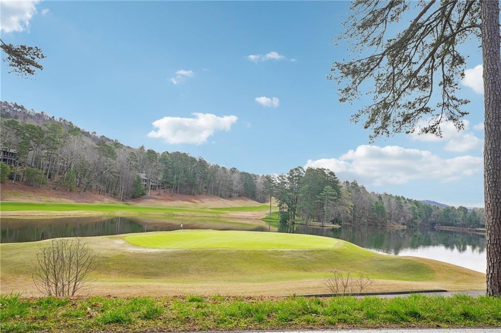 135 Chestnut Rise Trail Unit 441D