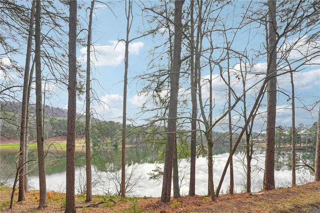 135 Chestnut Rise Trail Unit 441D