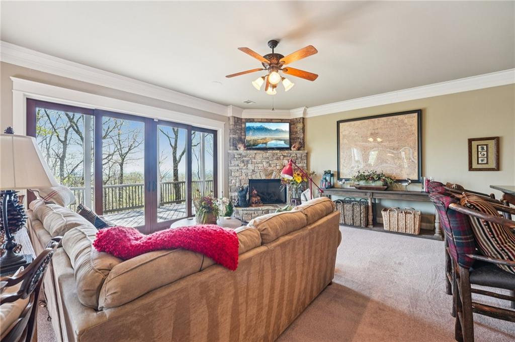 1041 Cox Mountain Drive