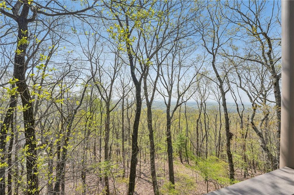 1041 Cox Mountain Drive