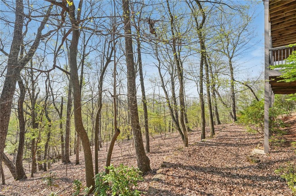 1041 Cox Mountain Drive