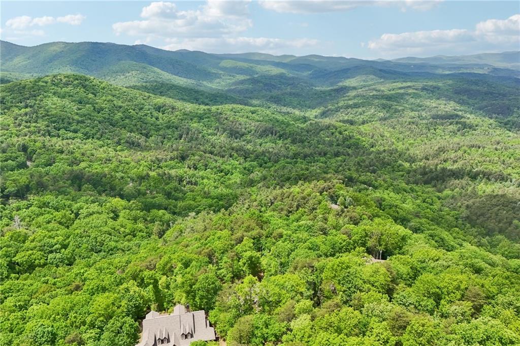 252 Wild Turkey Bluff