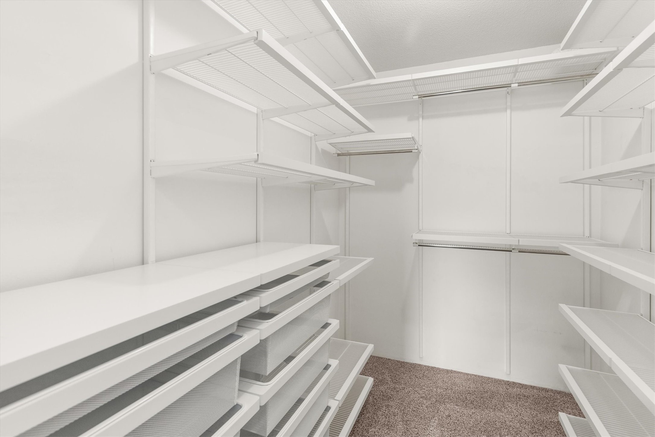 Walk-in closet with extensive white shelving and brown carpet.