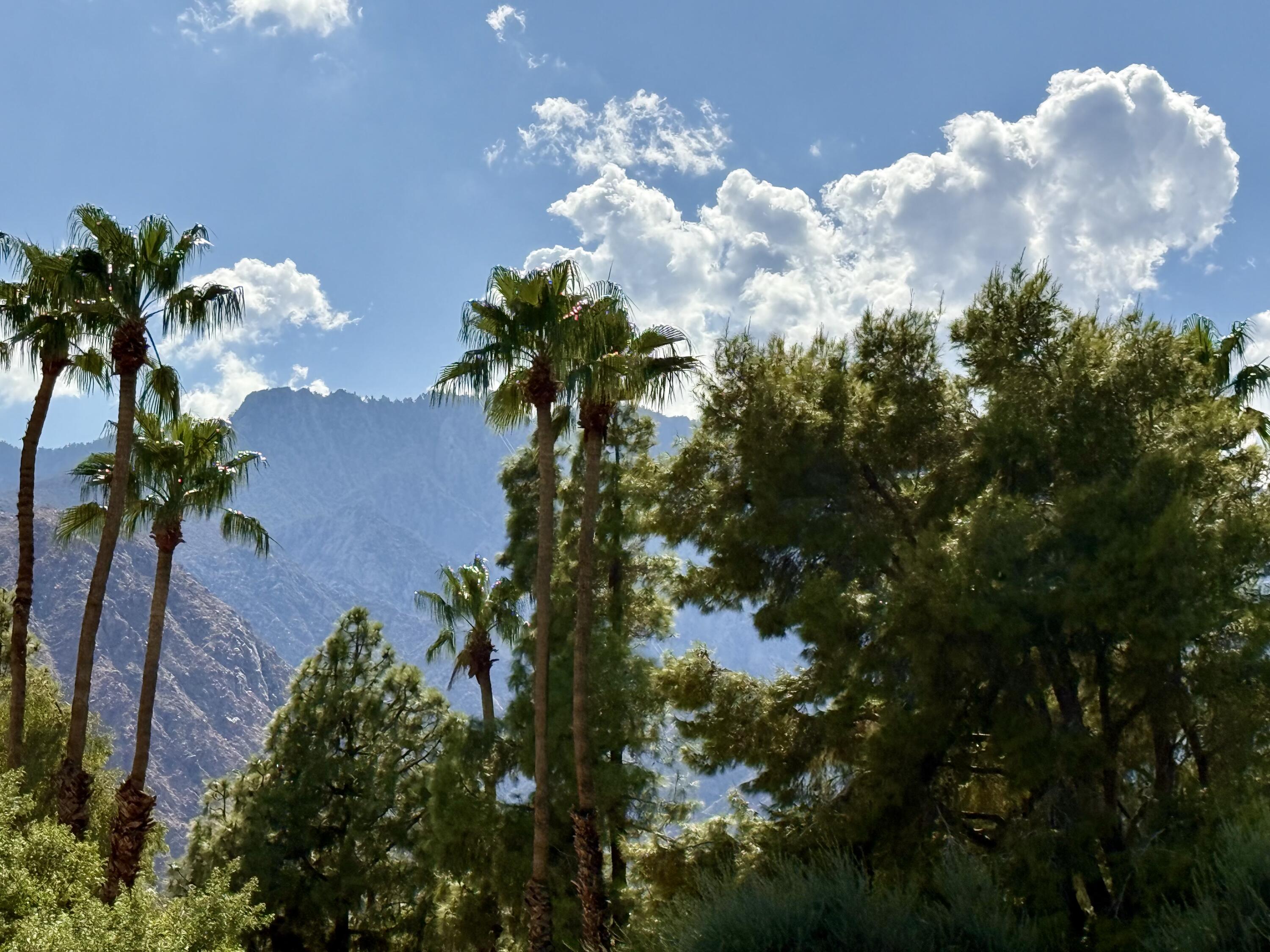 2875 N Los Felices RD Unit: 107