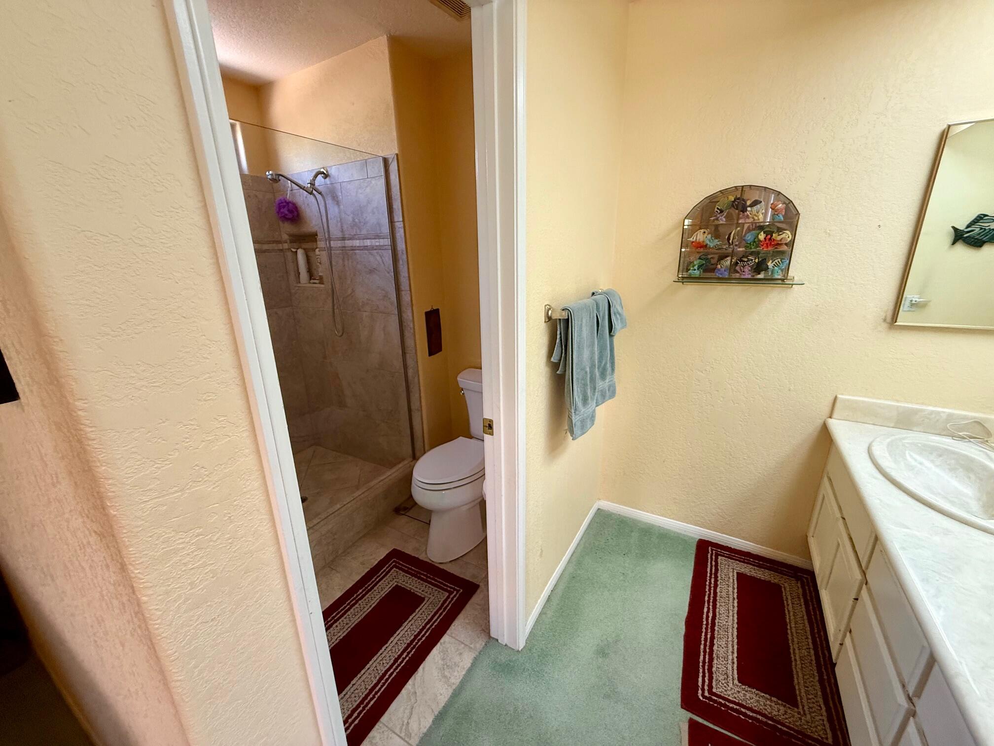 33853 Drifting Sands CIR