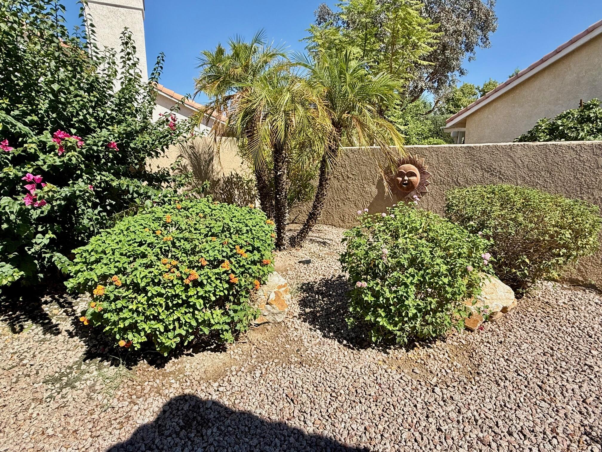 33853 Drifting Sands CIR