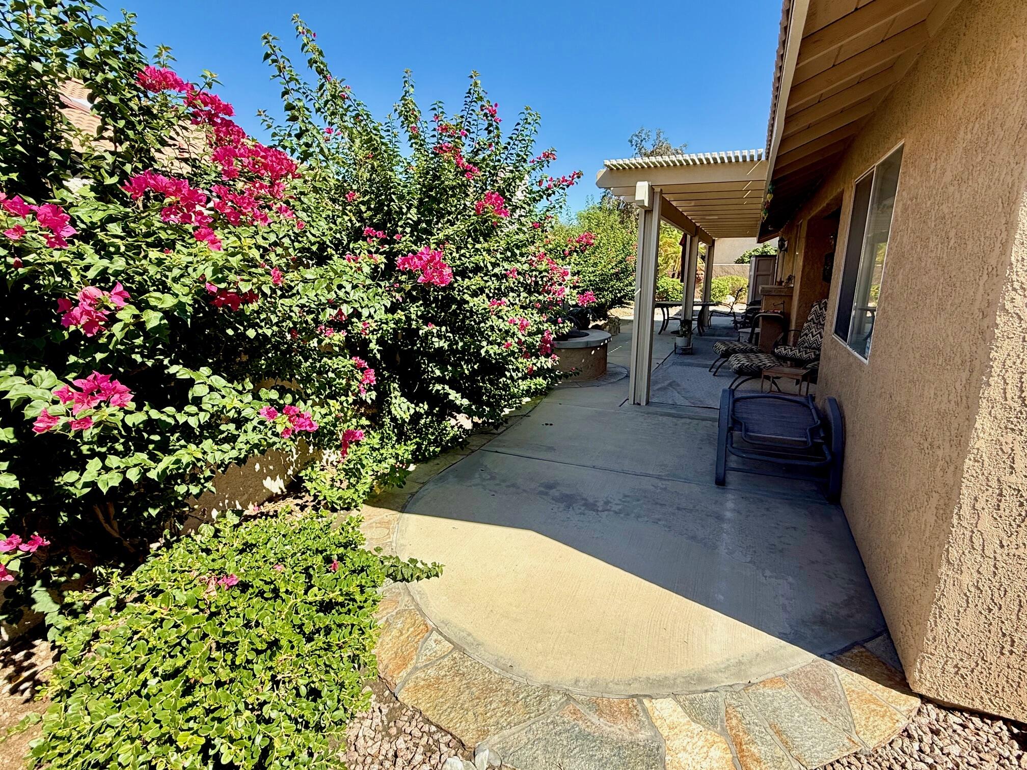 33853 Drifting Sands CIR