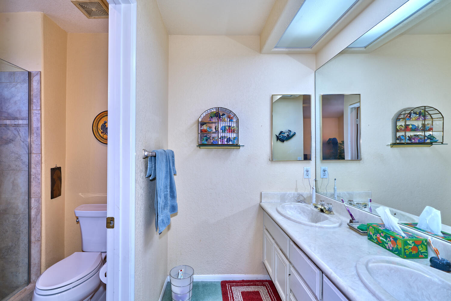 33853 Drifting Sands CIR
