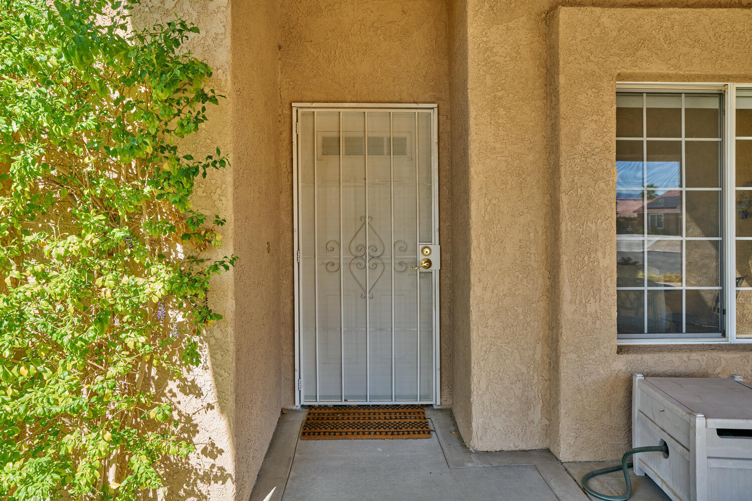 33853 Drifting Sands CIR