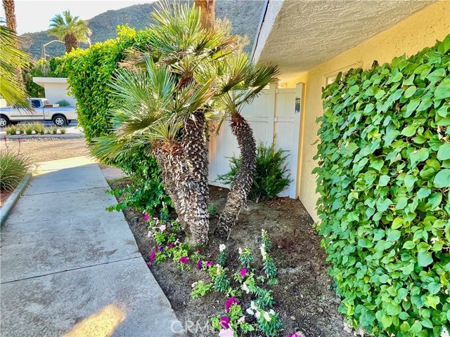 40990 Paxton DR Unit: 7