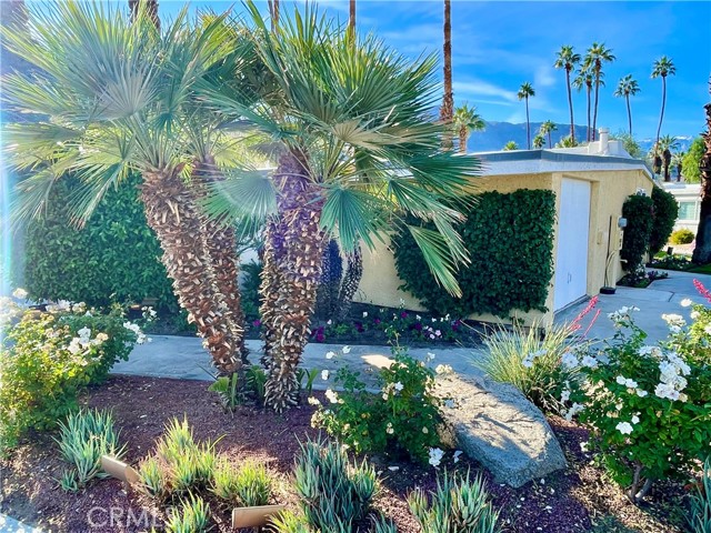 40990 Paxton DR Unit: 7