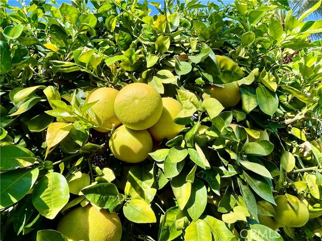 40990 Paxton DR Unit: 7