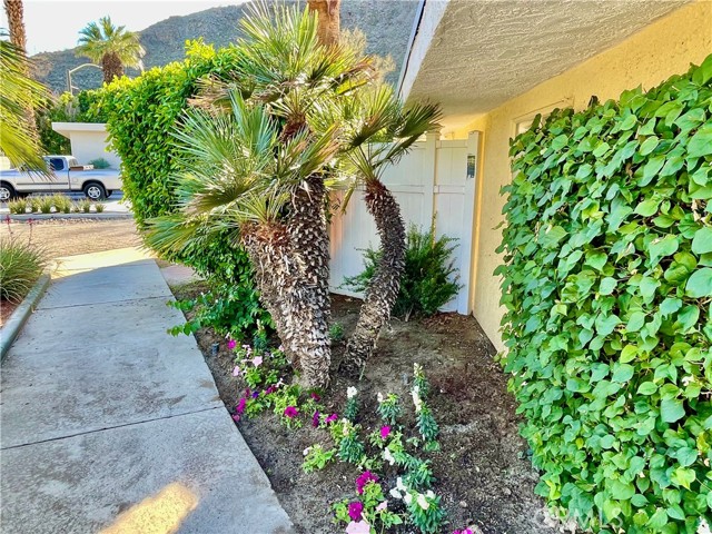 40990 Paxton DR Unit: 7