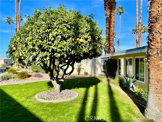 40990 Paxton DR Unit: 7