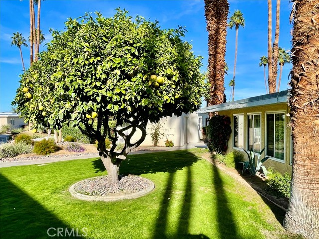 40990 Paxton DR Unit: 7
