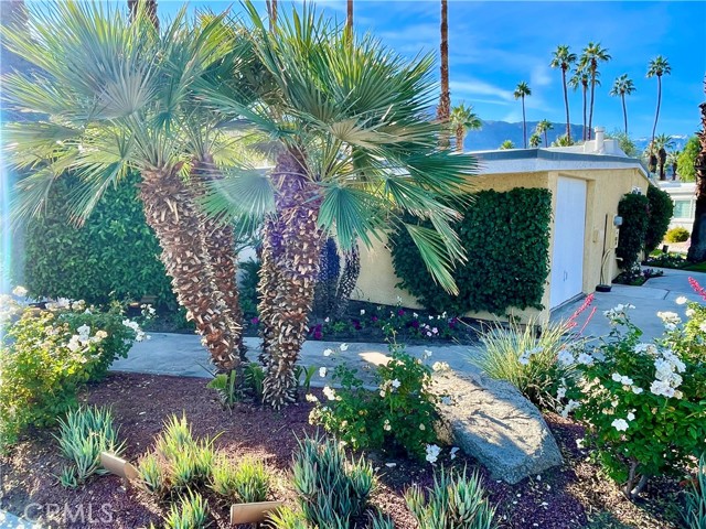 40990 Paxton DR Unit: 7