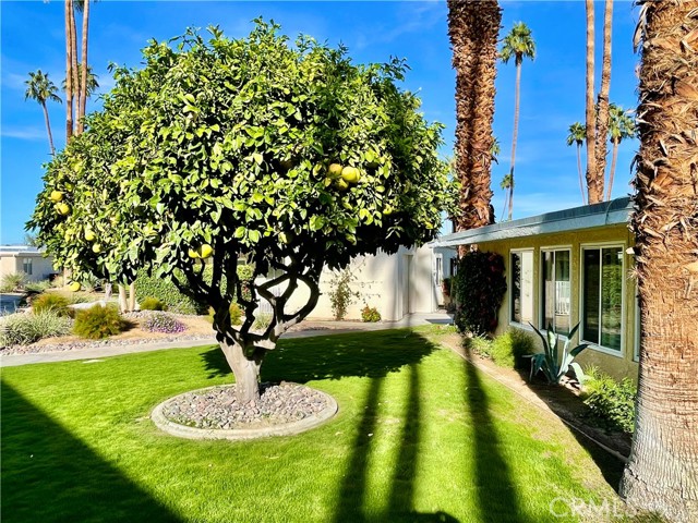 40990 Paxton DR Unit: 7