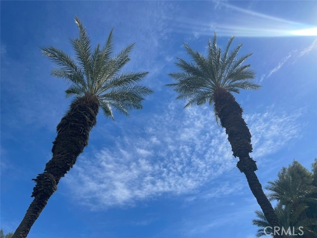 42320 Baracoa DR Unit: 2