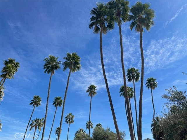 42320 Baracoa DR Unit: 2