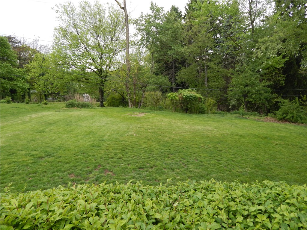 111 Wedgewood Dr.