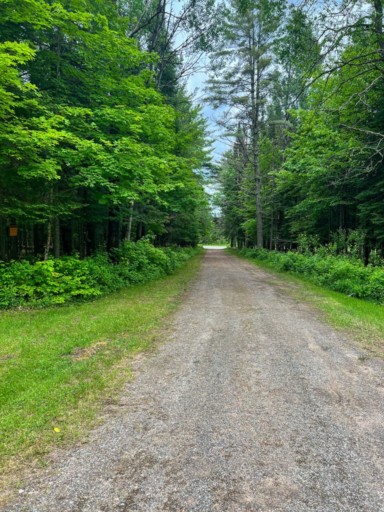 35 Riley Road