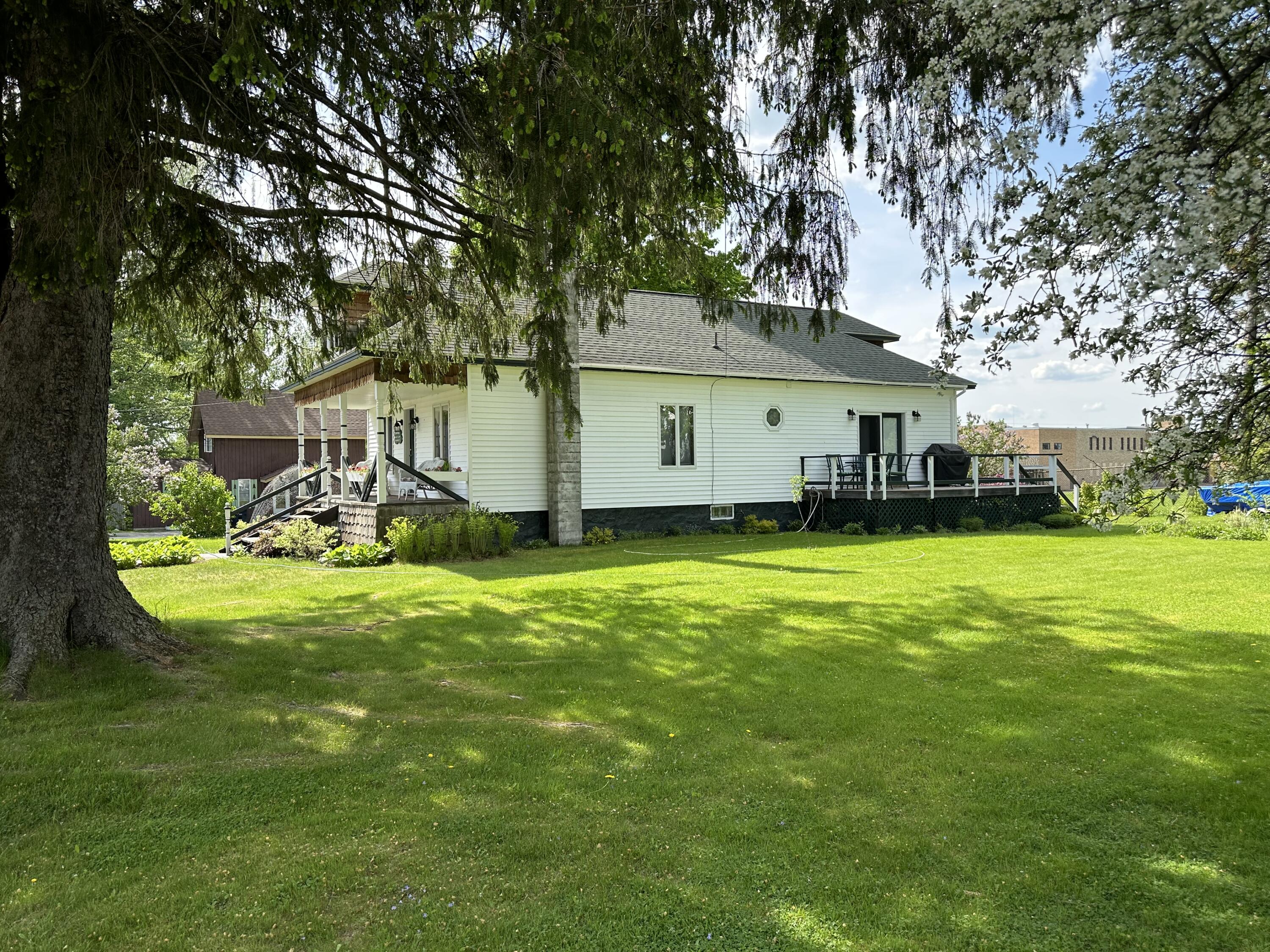 3 Freeman Street Street