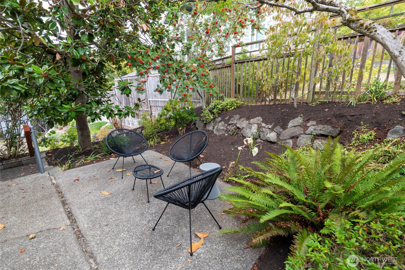 Backyard patio with black woven chairs, fern planting, a stone retaining edge, and a berry-covered tree.